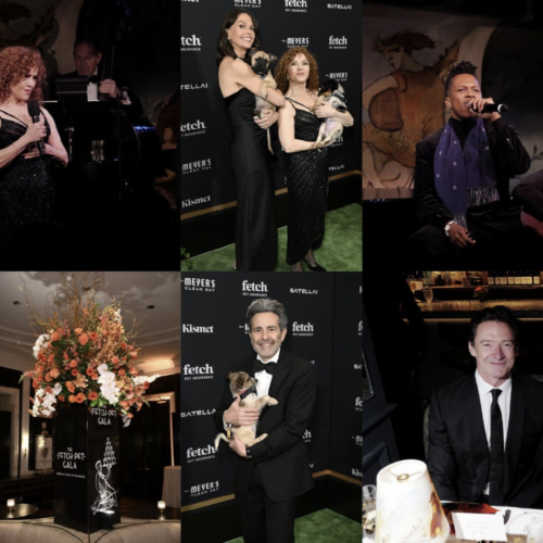 Bernadette Peters, Sutton Foster & Leslie Odom Jr. Headlined Star-Studded Fetch Pet Gala in NYC to Raise Funds for Pets and Their People in Need